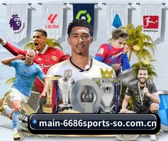 6686体育 APP（6686 SPORTS）
